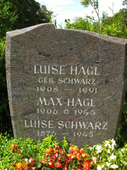 Klicken Sie zuerst in den Kreismittelpunkt, dann an irgendeiner Stelle auf den Kreis selbst.