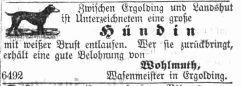 Klicken Sie zuerst in den Kreismittelpunkt, dann an irgendeiner Stelle auf den Kreis selbst.
