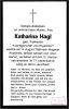 Sterbebild:Pichlmaier Katharina (Hagl)
